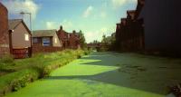 "Jenny Green Teeth" on Titford Canal